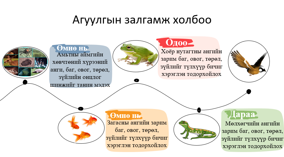 Мэдлээ | Цахим контент